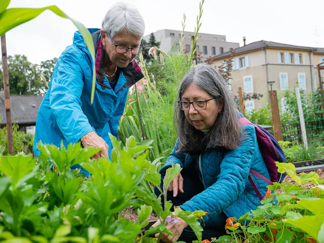 Nouveaux jardins 2021 photo 8 by retosteffen.ch