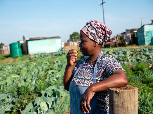 South Africa photo 2 by retosteffen.ch