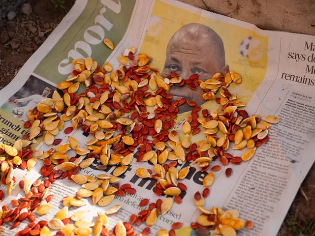 South Africa photo 7 by retosteffen.ch