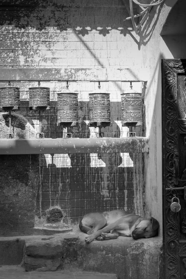 Nepal photo 15 by retosteffen.ch